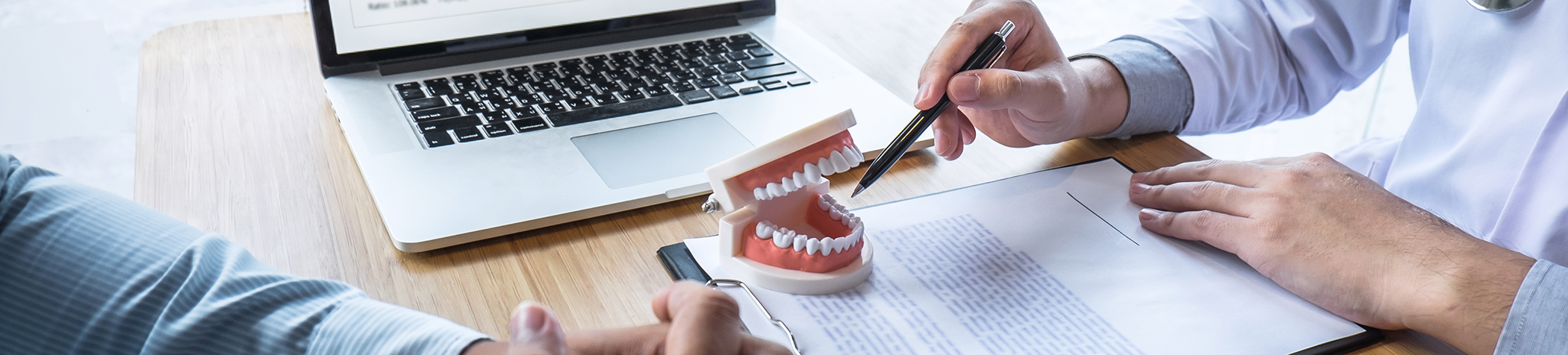 Dentist examining model of teeth near laptop