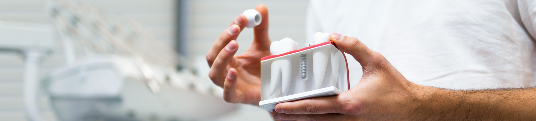 Hands holding dental implant model and crown